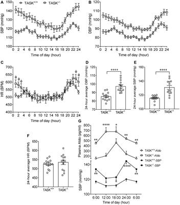 Mineralocorticoid Receptor-Dependent Impairment of Baroreflex Contributes to Hypertension in a Mouse Model of Primary Aldosteronism